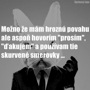Možno že mám hroznú povahu