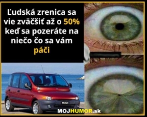 Ľudská zrenica sa vie zväčšiť až o 50 %